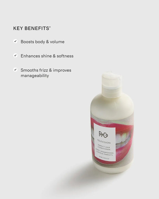 TELEVISION Perfect Hair Conditioner