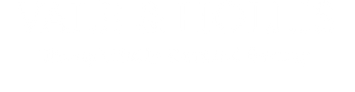 Val-Hollis Logo White